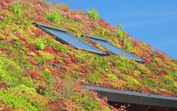 Nepcote living roof systems