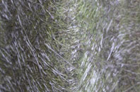 Nepcote fibreglass roof work